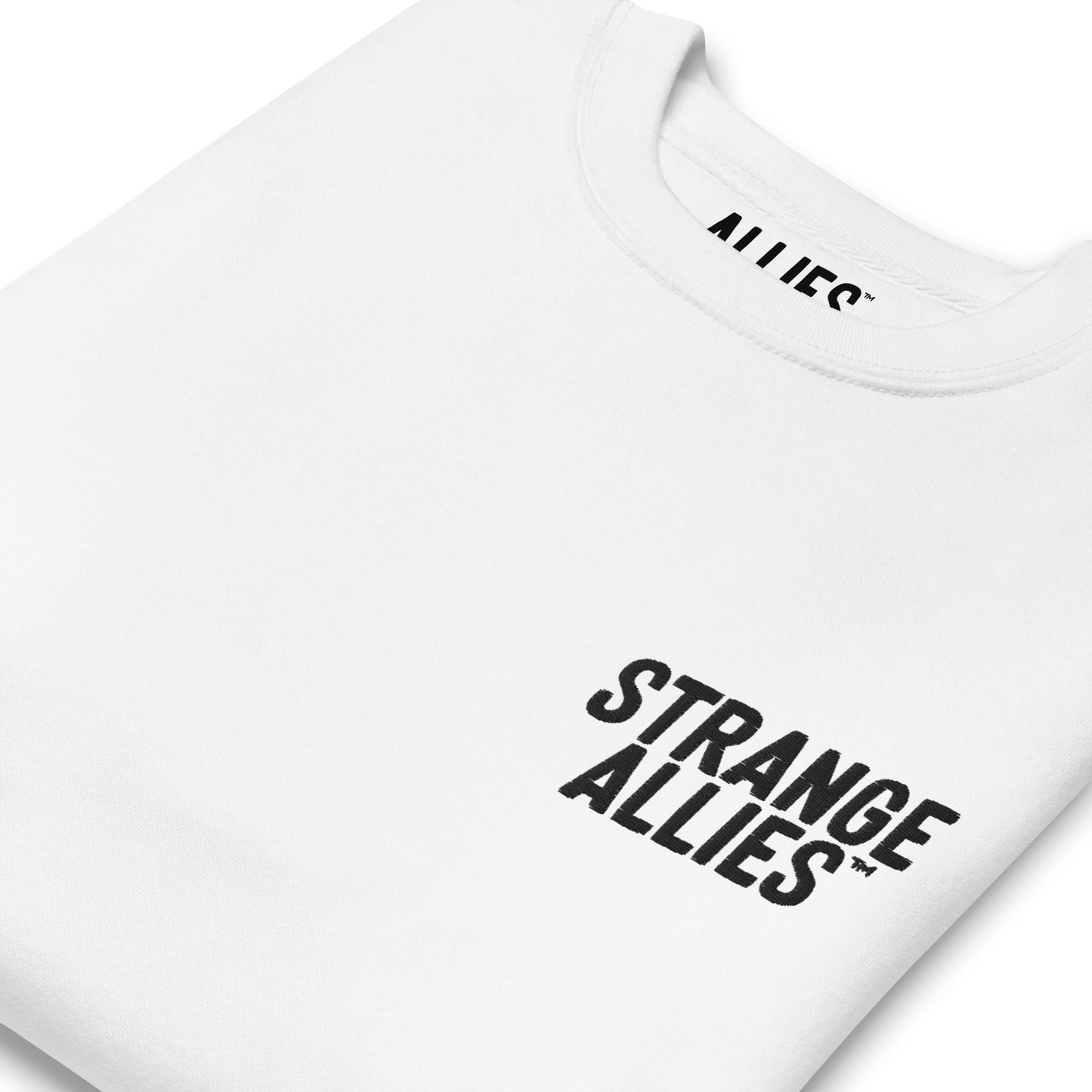Strange Allies Embroidered Sweatshirt