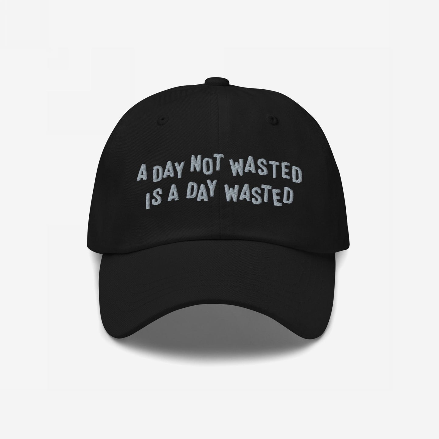 Wasted Days Hat