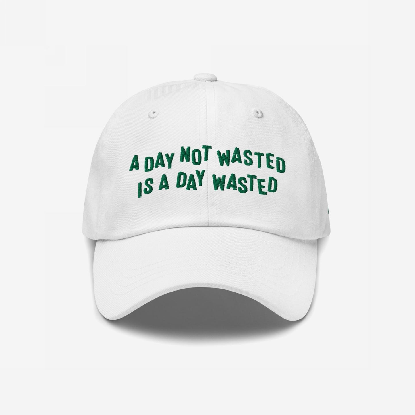 Wasted Days Hat