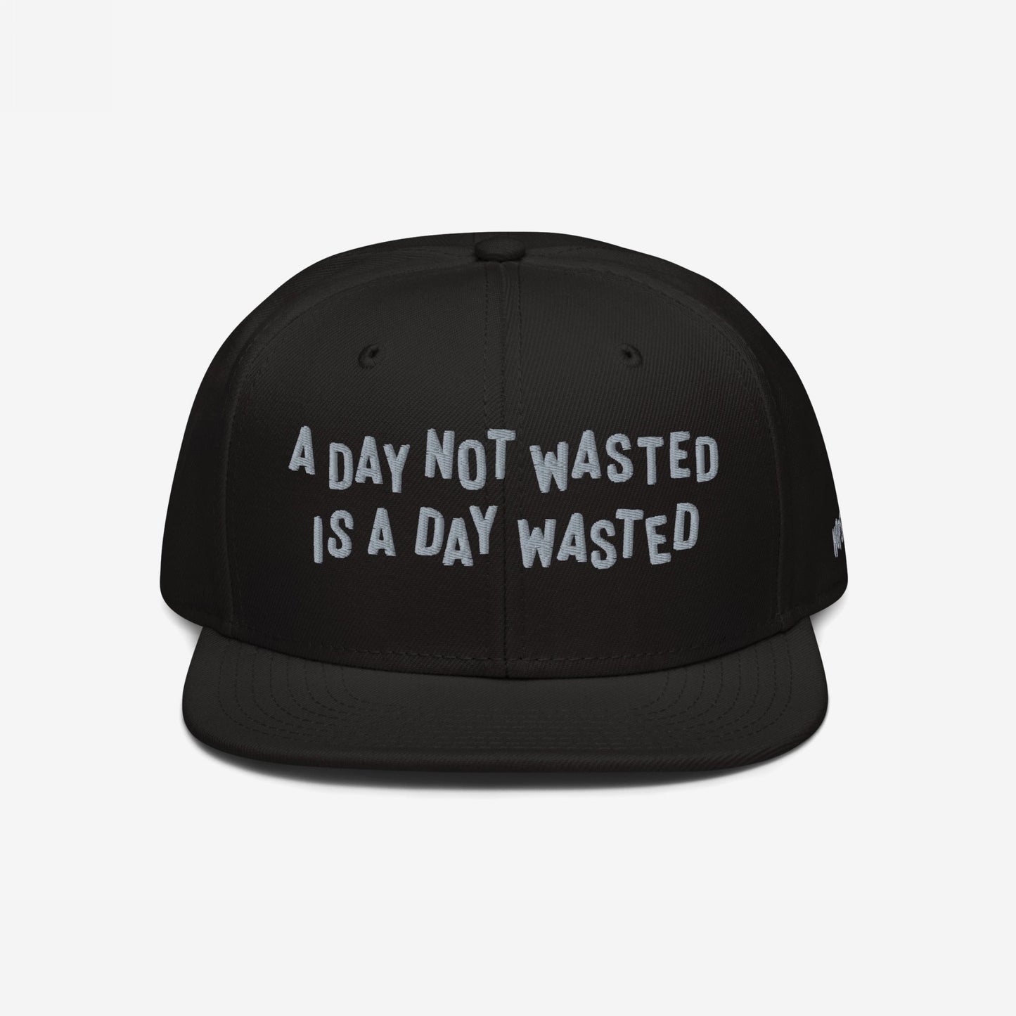 Wasted Days Hat